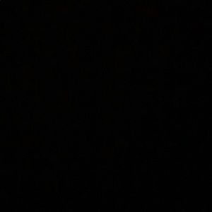 Meet your Posher, Shelly